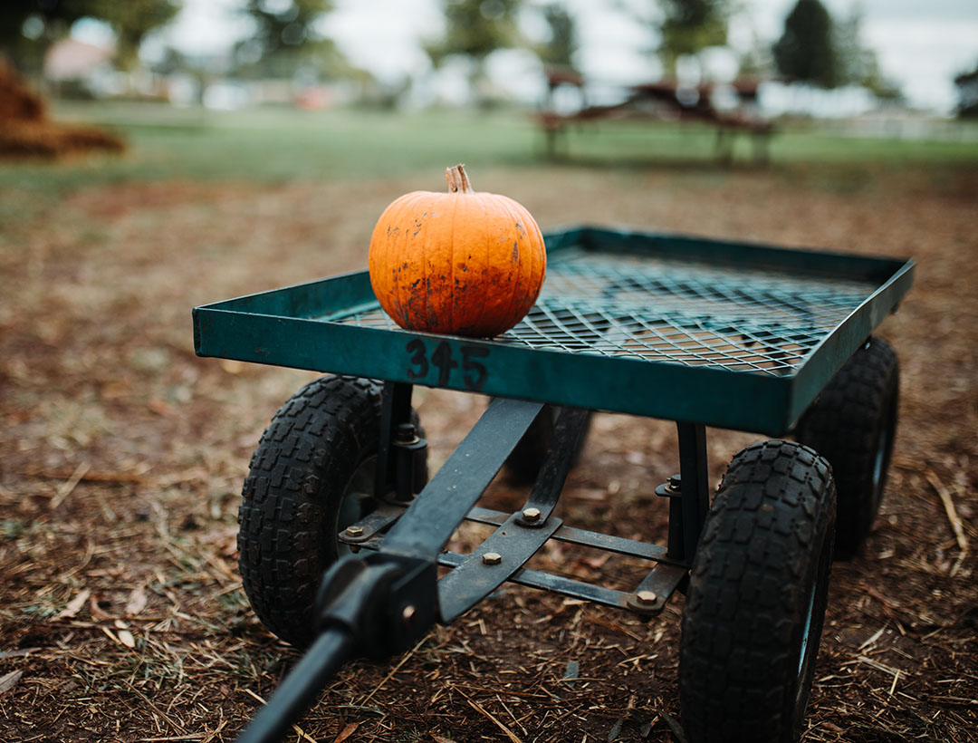 Hiji aspék utamana populér tina crafting nyaeta pamakéan wheelbarrows.(1)